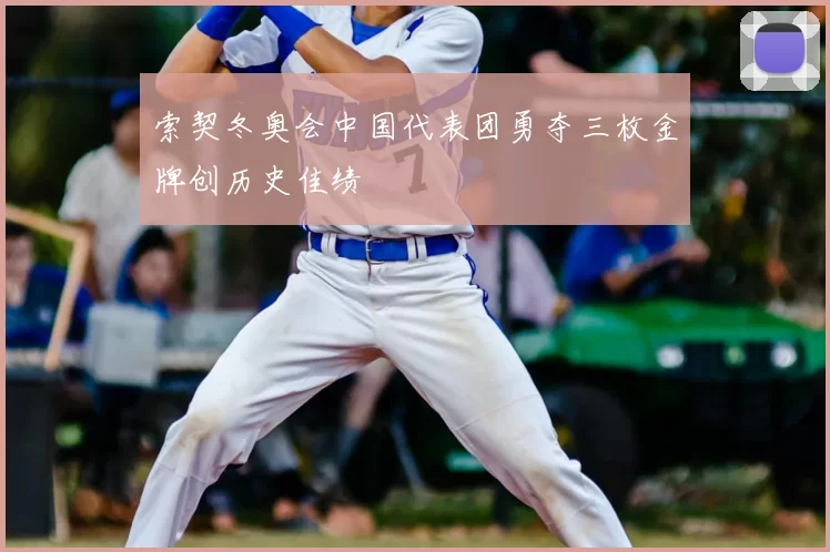 索契冬奥会中国代表团勇夺三枚金牌创历史佳绩