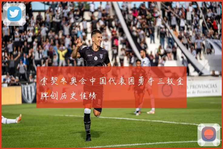 索契冬奥会中国代表团勇夺三枚金牌创历史佳绩