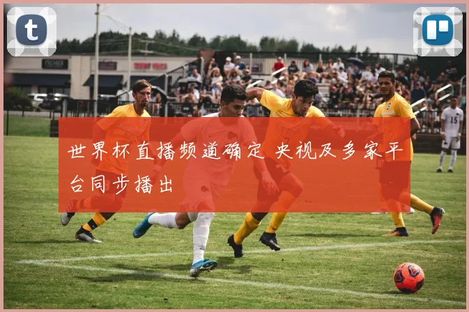 世界杯直播频道确定 央视及多家平台同步播出