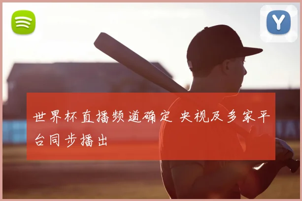 世界杯直播频道确定 央视及多家平台同步播出